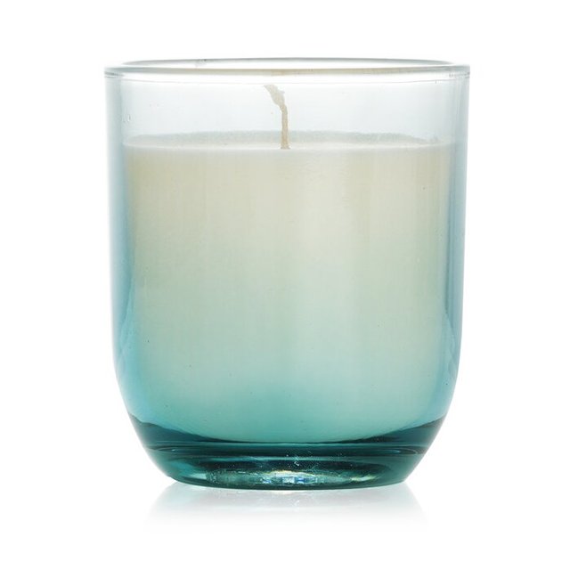 パディワックス エニアグラム キャンドル インスージアスト 141g