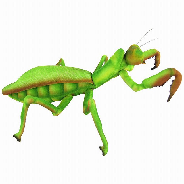 ハンサ カマキリ  W30×H18×D42cm