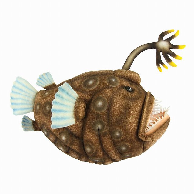 ハンサ チョウチンアンコウ  W18×H25×D40cm