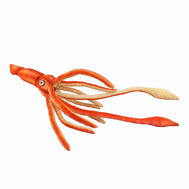 ハンサ ダイオウイカ  W31×H14×D65cm